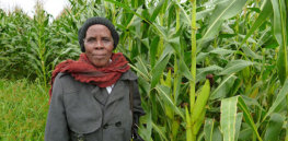 blog women in rural south africa take on climate change