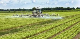 despite the attention surrounding pesticides there seems to be little at