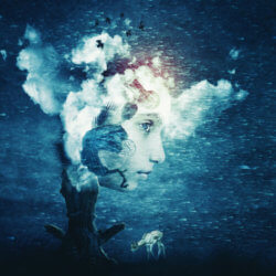 dream
