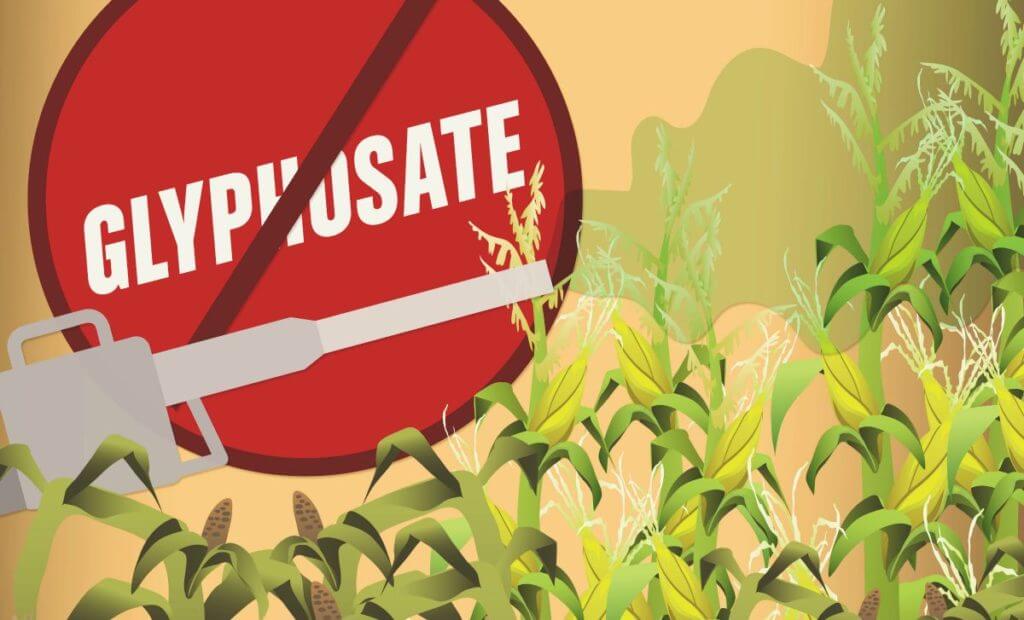 Glyphosate2229998181