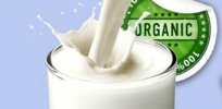 Organic Cow Milk Gurgaon