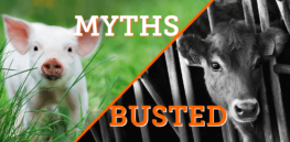 blog six myths about farming busted main