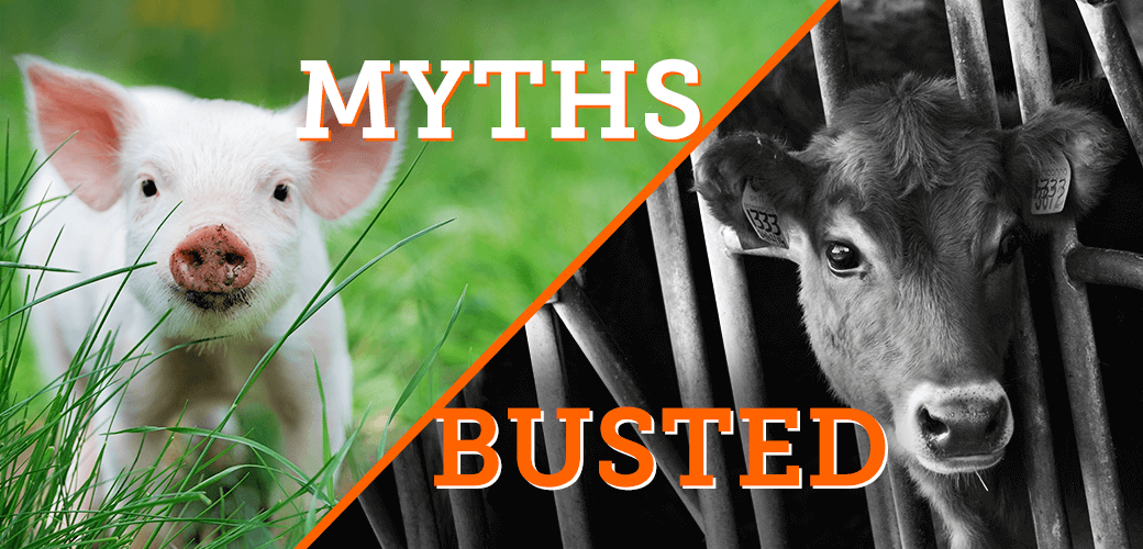 blog six myths about farming busted main