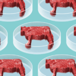 clean meat