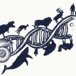 evolution species natural selection