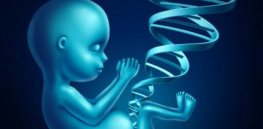 gene therapy womb