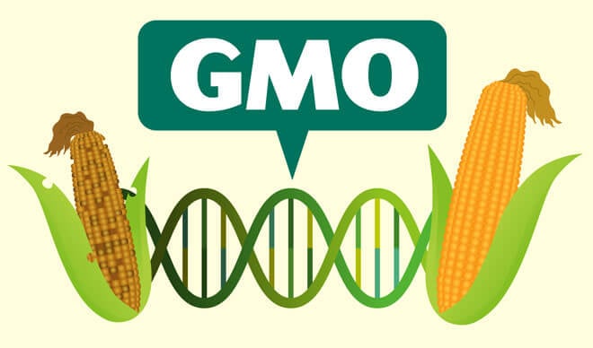 ã€ŒGMOã€ã®ç”»åƒæ¤œç´¢çµæžœ