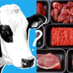 lab meat