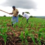 recession AGRIC x