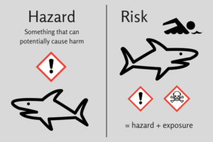risk hazard sharks minimized