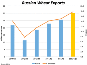 russian wheat333666777