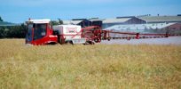 Does glyphosate cause cancer? Jury says says 'yes' but years of research show the herbicide is safe