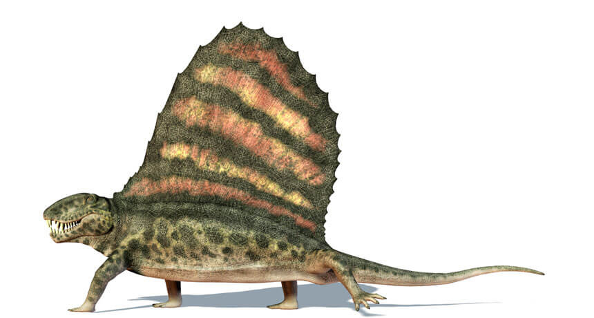 dinosaurs like dimetrodon