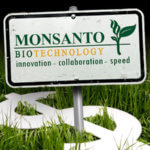 Monsanto Money Crops