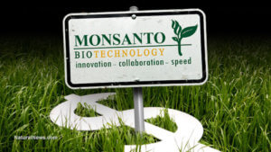 Monsanto Money Crops