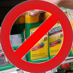 Roundup Glyphosate Pesticides