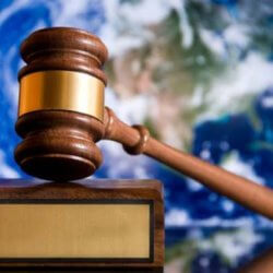 VegNews Gavel