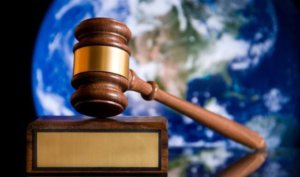 VegNews Gavel