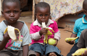 foodafrica