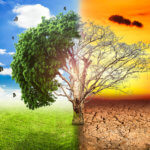 global warming