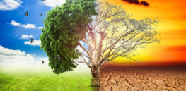global warming