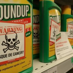 glyphosate hr
