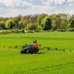 glyphosate