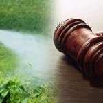 lawsuit court gavel table pesticides