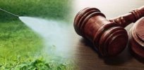 lawsuit court gavel table pesticides