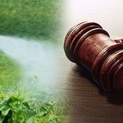 lawsuit court gavel table pesticides