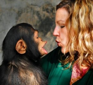 monkey