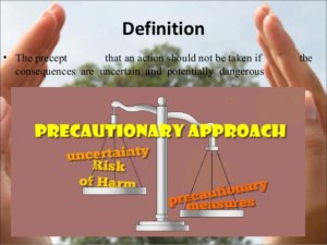 precautionary principle