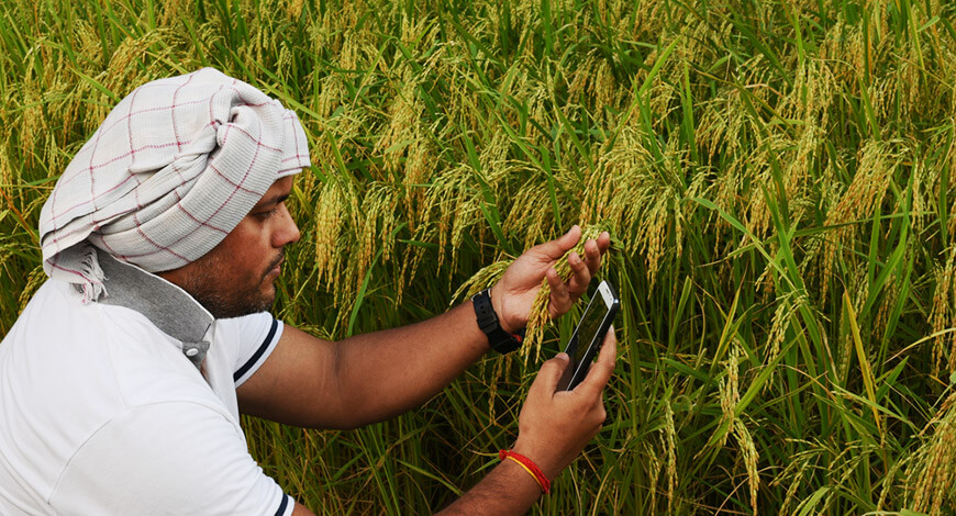Fnm QU nb PVs farmer india ST