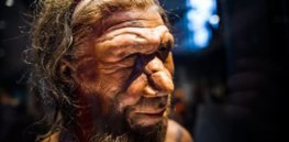 Were Neanderthals wiped out by icy climate change?