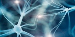 epilepsy autism genetics neurosciencenews
