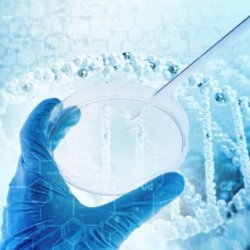 RNA therapy