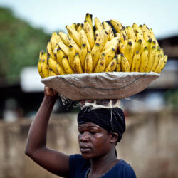 bananas