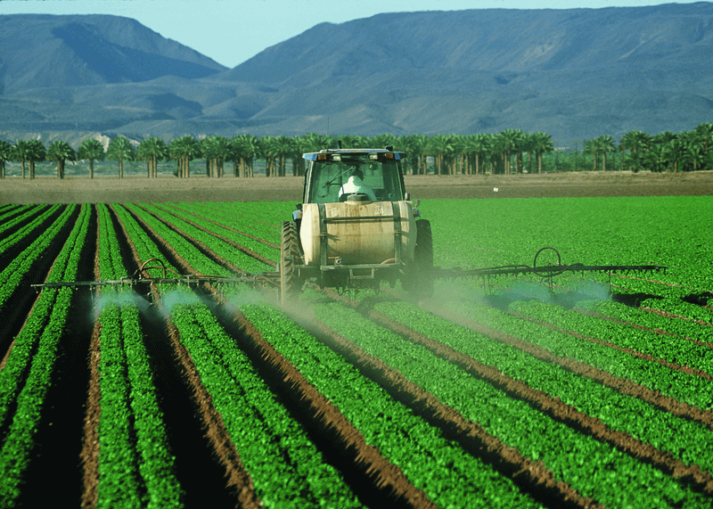 glyphosate