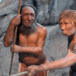 neanderthals effective healthcare compassion x
