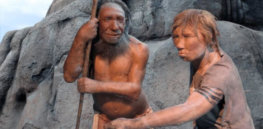 neanderthals effective healthcare compassion x