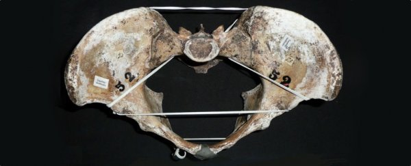 birth canals