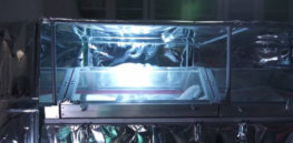 cryogenic freezing cryonics baby alcor