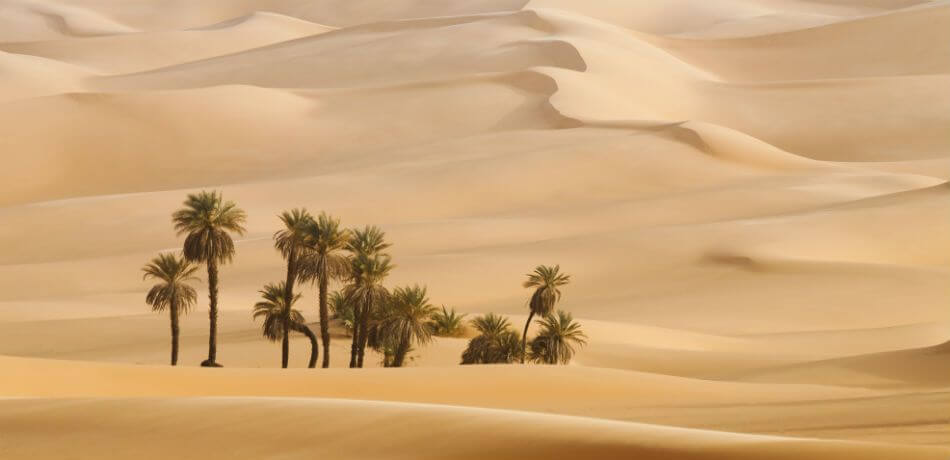 Image result for pictures of saudi arabia desert