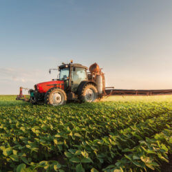 atrazine