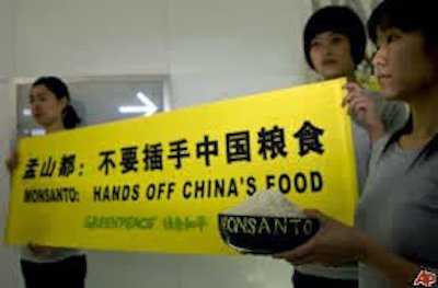 chinamon
