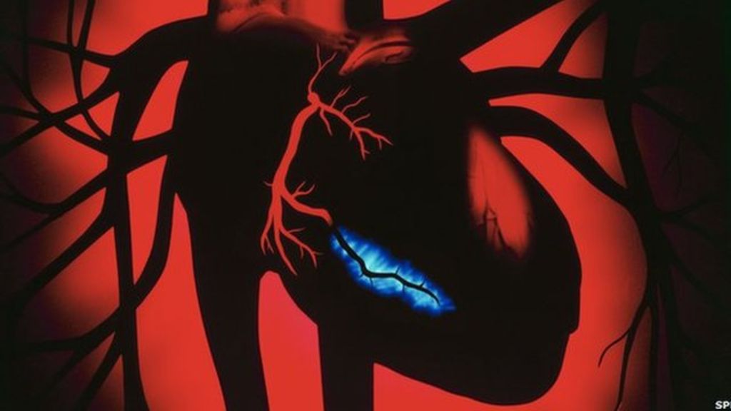 heart