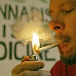 marijuana