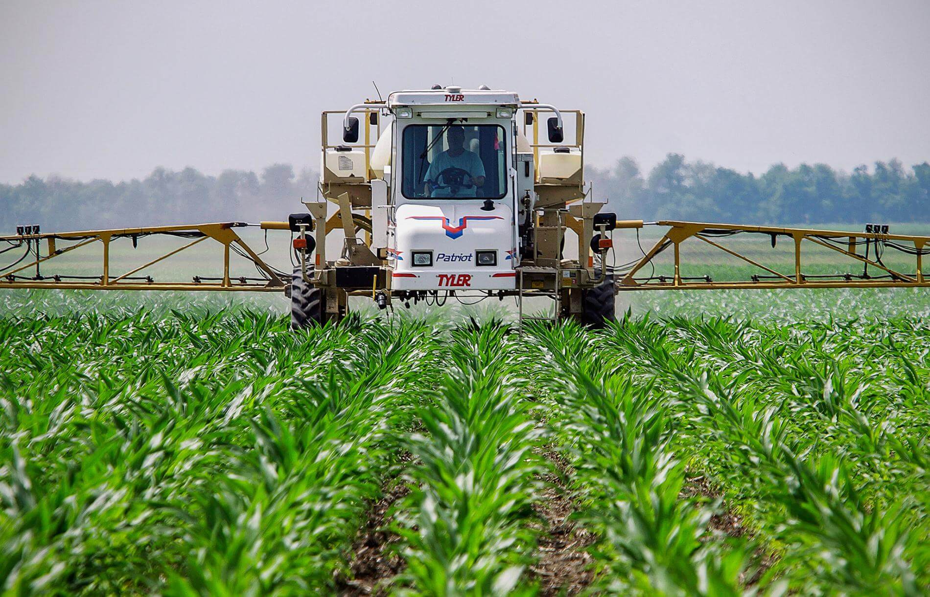 roundup
