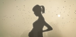 pregnancy air pollution
