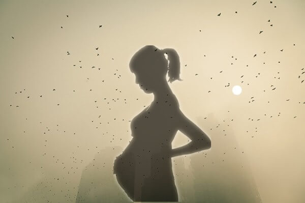 pregnancy air pollution